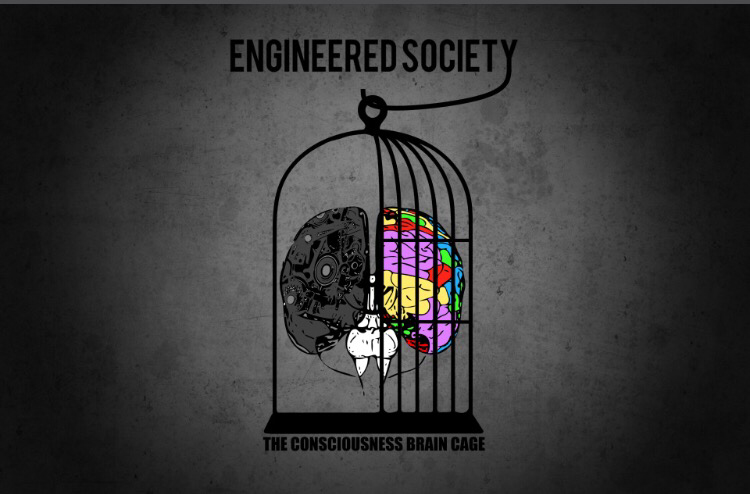 Engineered society, the consciousness brain cage!